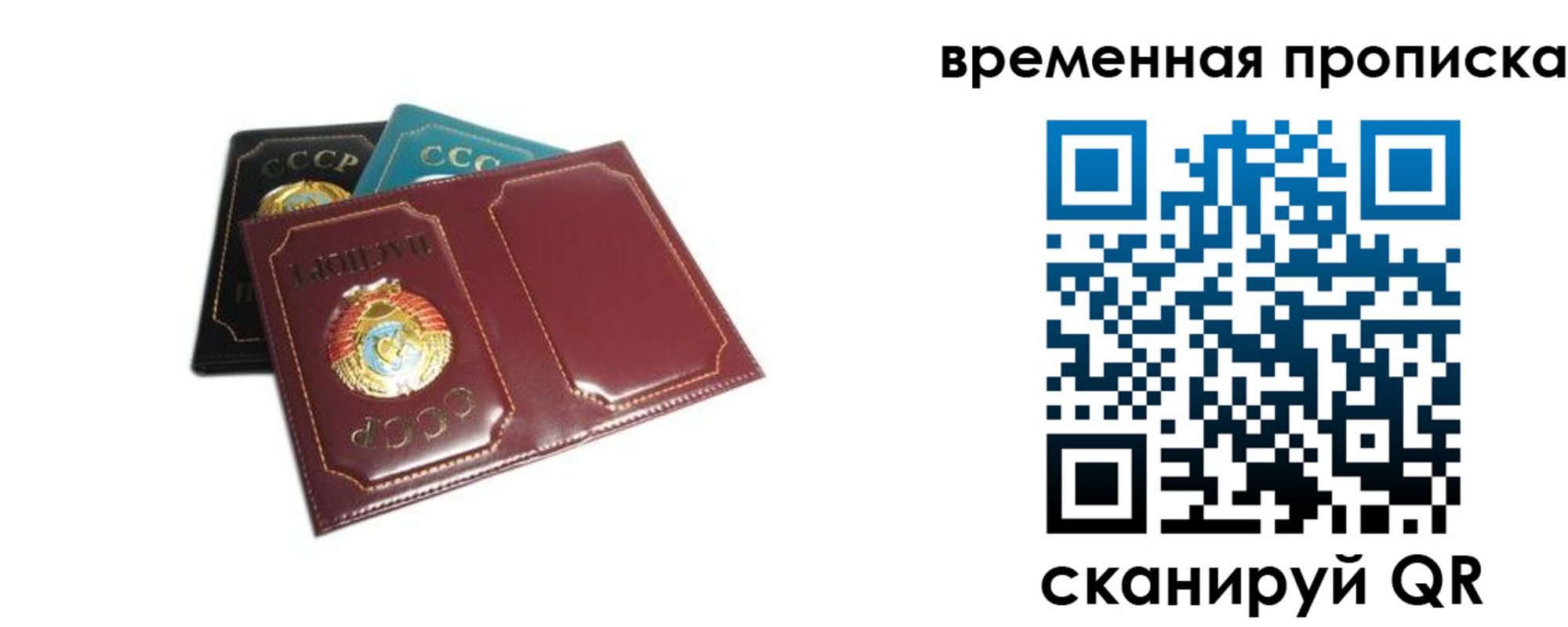 прописка 2025 в Копейске